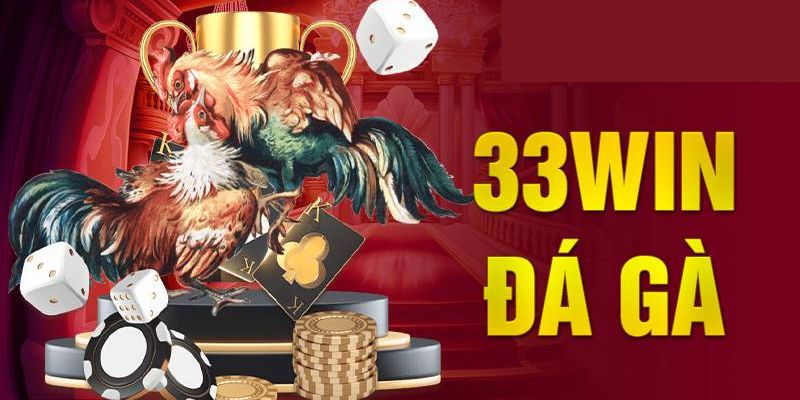 Phạm Gia Bảo đánh giá Đá gà tại 33WIN thực sự khác biệt