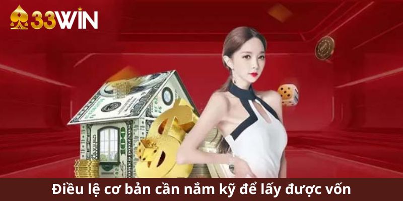 Điều lệ cơ bản cần nắm kỹ để lấy được vốn